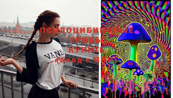 дурь Беломорск