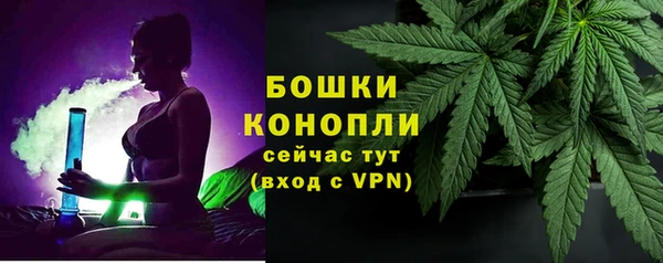СК Богородск